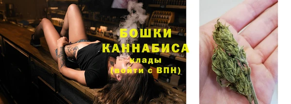 PSILOCYBIN Волоколамск
