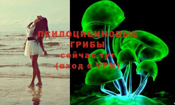PSILOCYBIN Волоколамск