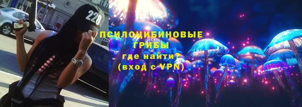 PSILOCYBIN Волоколамск